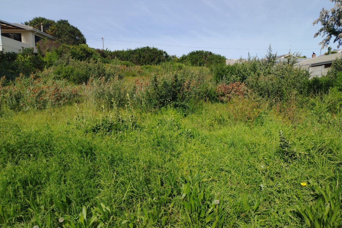 A view of a sloped, undeveloped residential plot featuring overgrown grass and established shrubbery, offering potential for future landscaping or construction.