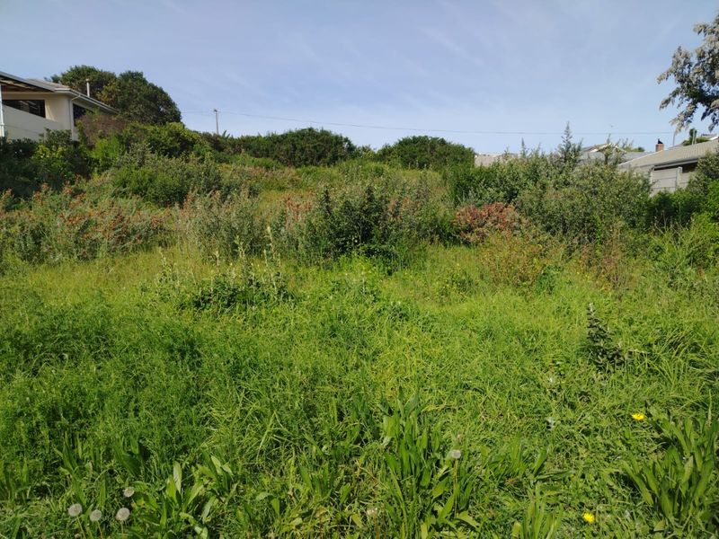 A view of a sloped, undeveloped residential plot featuring overgrown grass and established shrubbery, offering potential for future landscaping or construction.