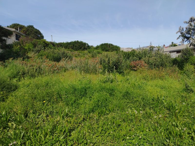A sloped, undeveloped residential plot featuring overgrown natural vegetation and established shrubs, offering potential for future landscaping or construction.
