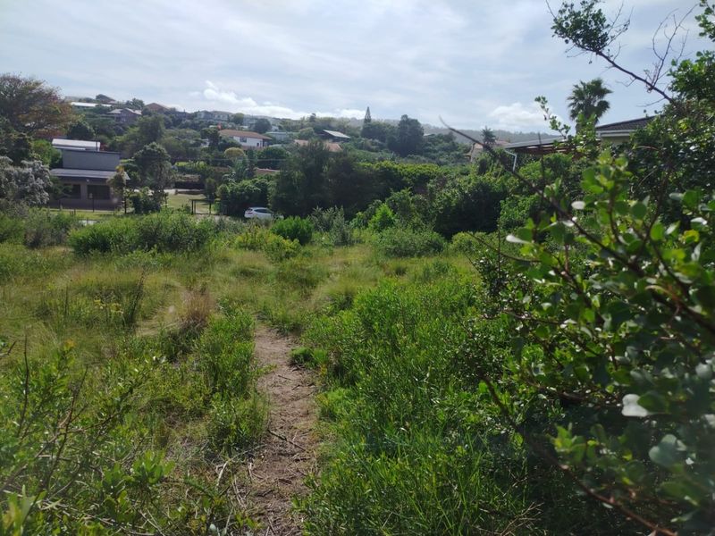 A view of a vacant residential plot featuring natural vegetation and surrounding neighborhood landscape.