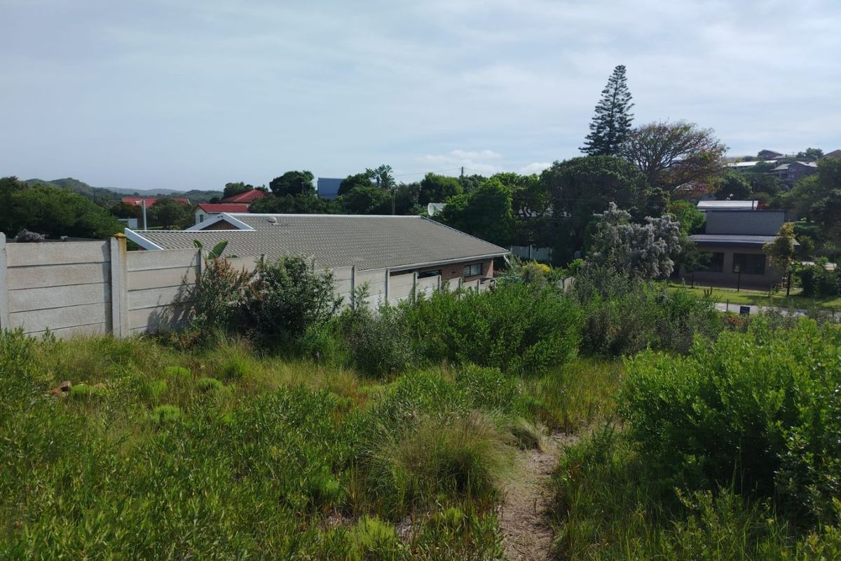 A view of a vacant residential plot featuring natural vegetation and a precast concrete boundary wall bordering neighboring properties.