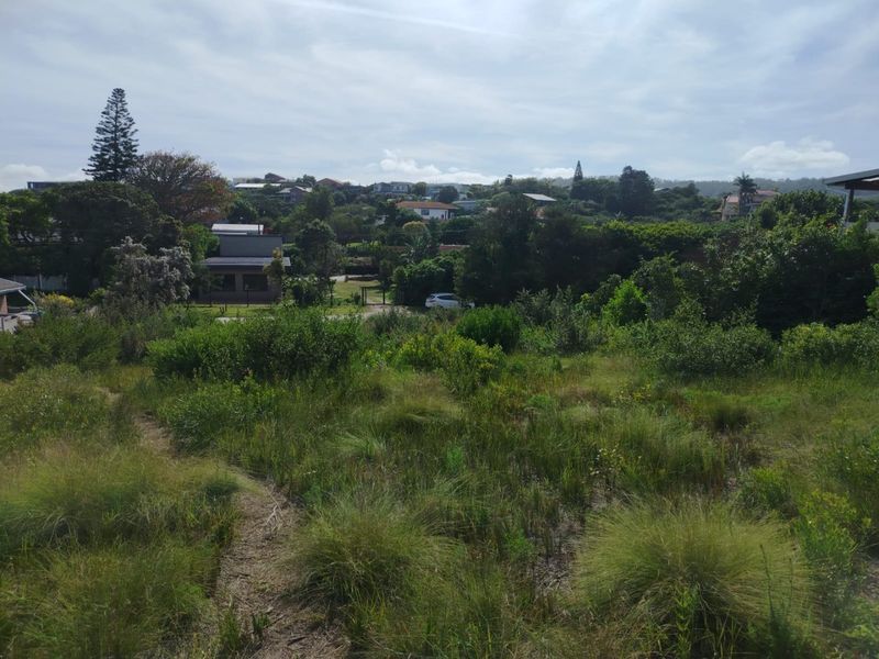 A view of the vacant residential land featuring natural vegetation and a sloped landscape with surrounding neighborhood properties in the distance.