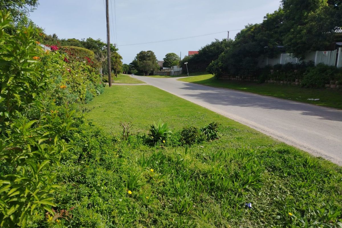 A view of the street and grass verge adjacent to the residential property, showing the local neighborhood approach.