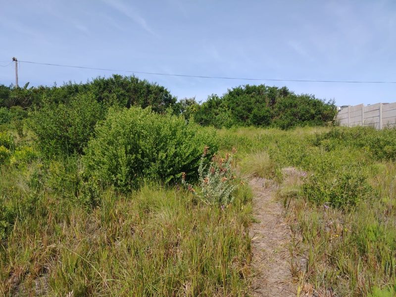 A view of a vacant residential plot featuring natural vegetation, a small dirt path, and a precast concrete boundary wall at the rear.