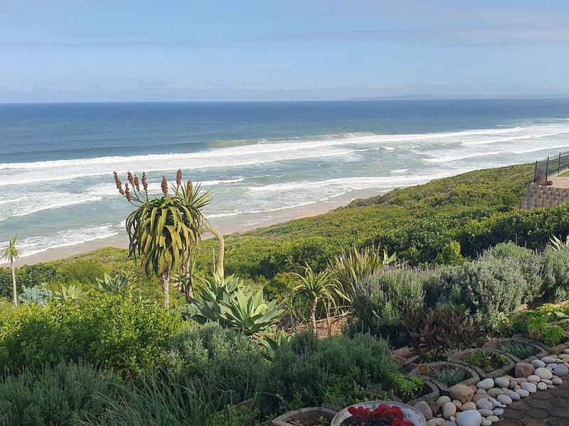 A scenic elevated view overlooking the coastline, featuring a well-maintained garden with native plants and a paved pathway.
