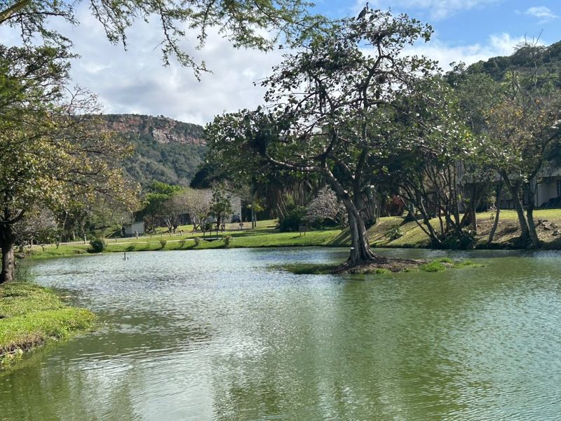 A scenic view of a tranquil pond surrounded by lush trees and landscaped grounds, offering a peaceful natural outlook.