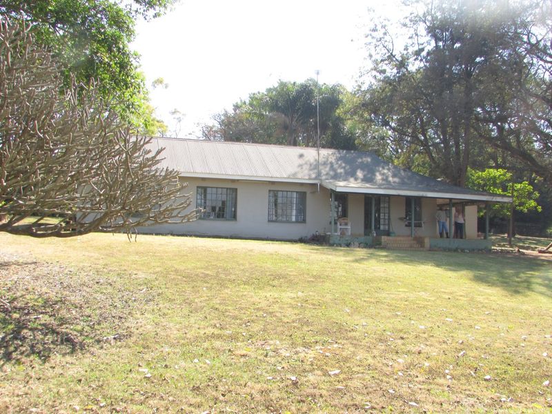 A view of the rear elevation of the farmhouse featuring a covered patio, corrugated metal roof, and established garden surroundings.