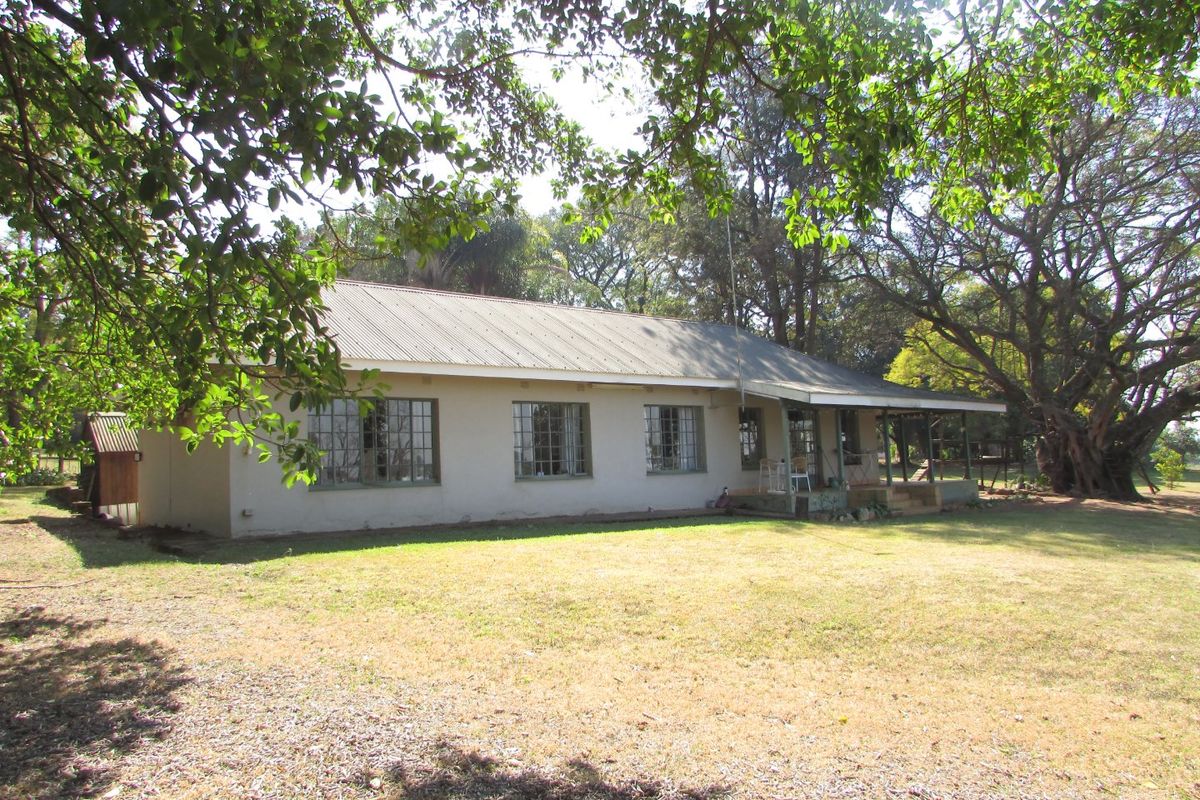 A view of the rear elevation of the farmhouse, featuring a corrugated metal roof, steel-framed windows, and a covered veranda overlooking the garden.