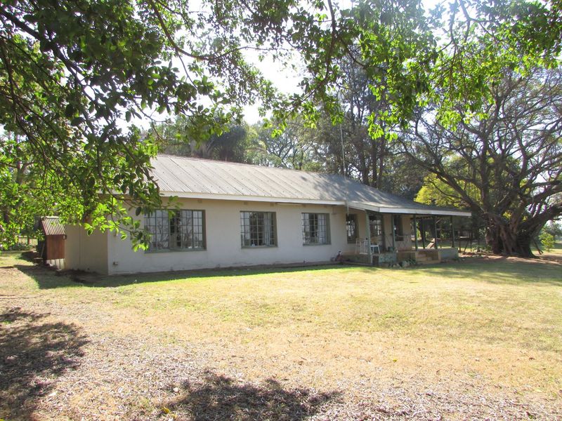 A view of the rear elevation of the farmhouse, featuring a corrugated metal roof, steel-framed windows, and a covered veranda overlooking the garden.