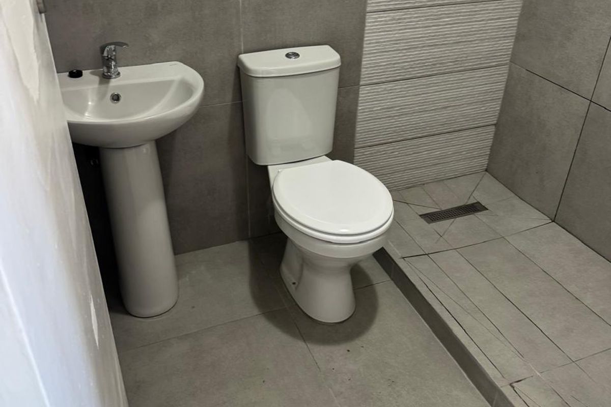 Compact modern bathroom featuring a pedestal basin, toilet, and a walk-in shower with grey tiled finishes.