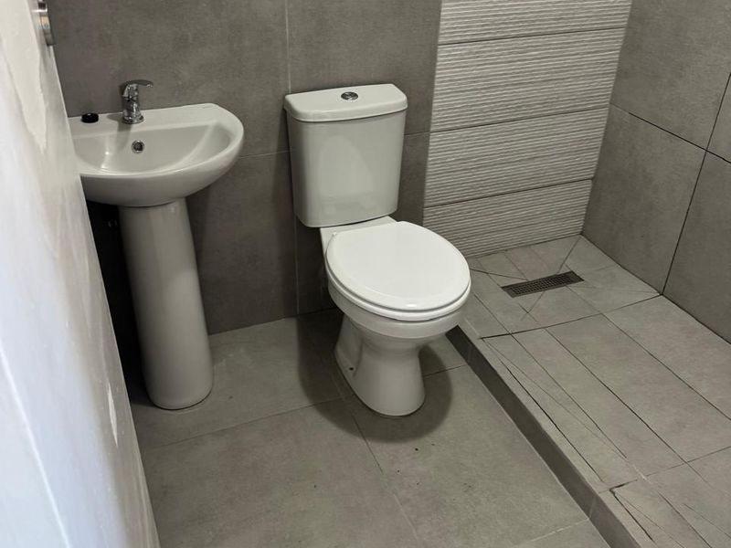 Compact modern bathroom featuring a pedestal basin, toilet, and a walk-in shower with grey tiled finishes.