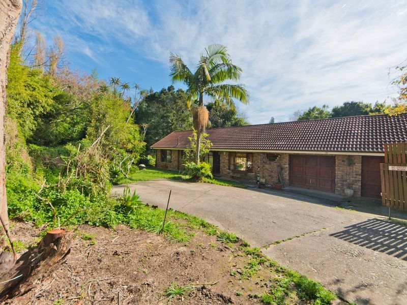 Front exterior view of a single-story brick house featuring a concrete driveway, attached garage, and established garden surroundings.