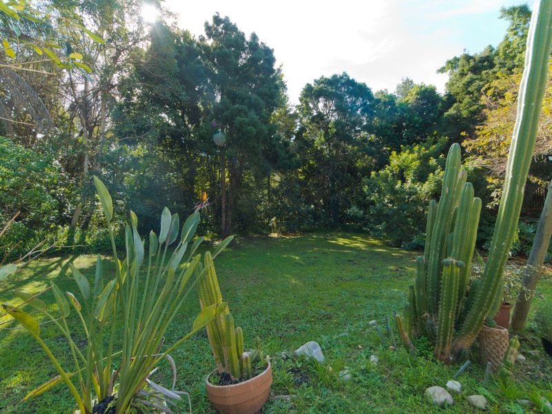 A lush, private backyard garden featuring a well-maintained lawn surrounded by mature trees and established greenery.