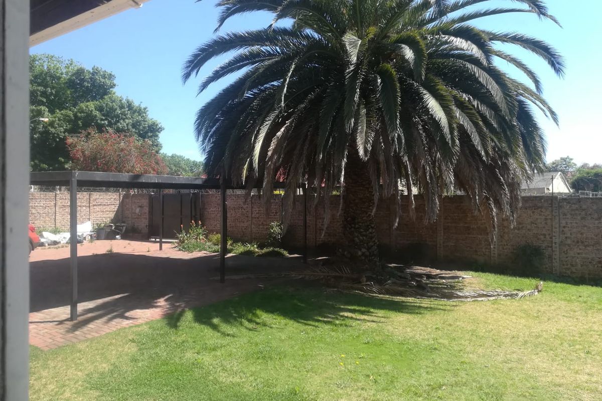 Rear garden area featuring a large established palm tree, paved carport structure, and brick boundary walls.