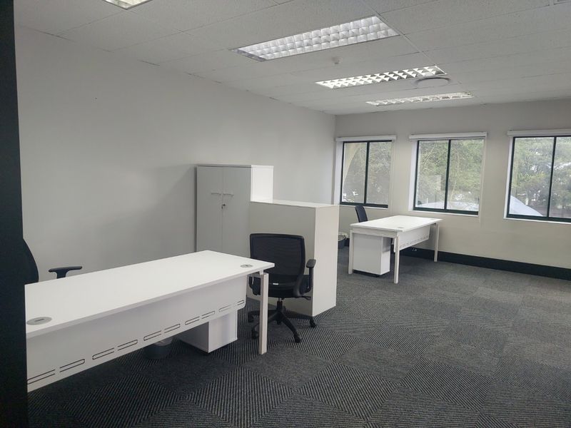 A functional commercial office space featuring carpeted flooring, suspended ceilings with recessed lighting, and large windows providing natural light.