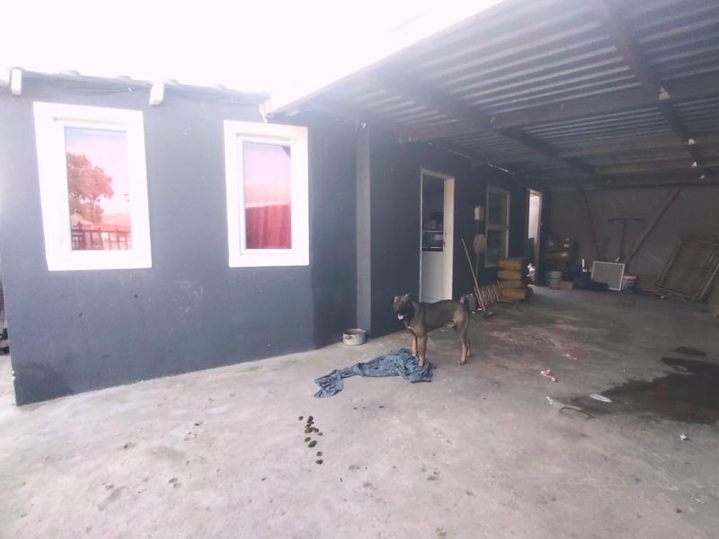 A covered outdoor patio area featuring concrete flooring and a corrugated metal roof, providing a functional space for outdoor utility or entertainment.