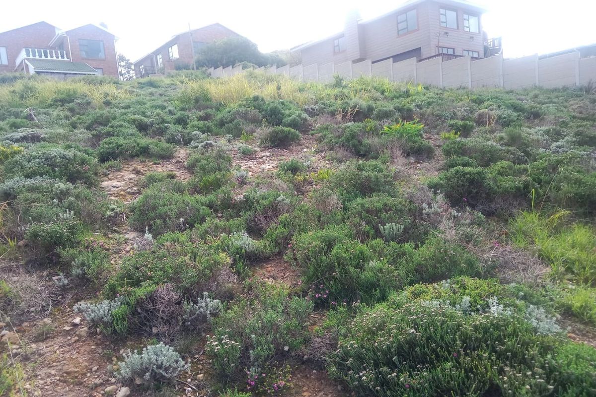 A sloped, undeveloped residential plot featuring natural vegetation and a precast concrete boundary wall at the rear.
