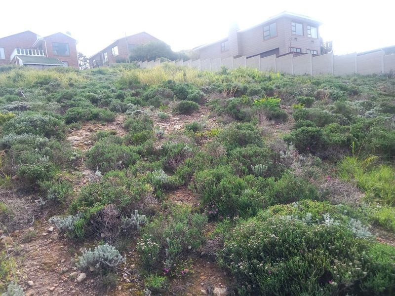A sloped, undeveloped residential plot featuring natural vegetation and a precast concrete boundary wall at the rear.