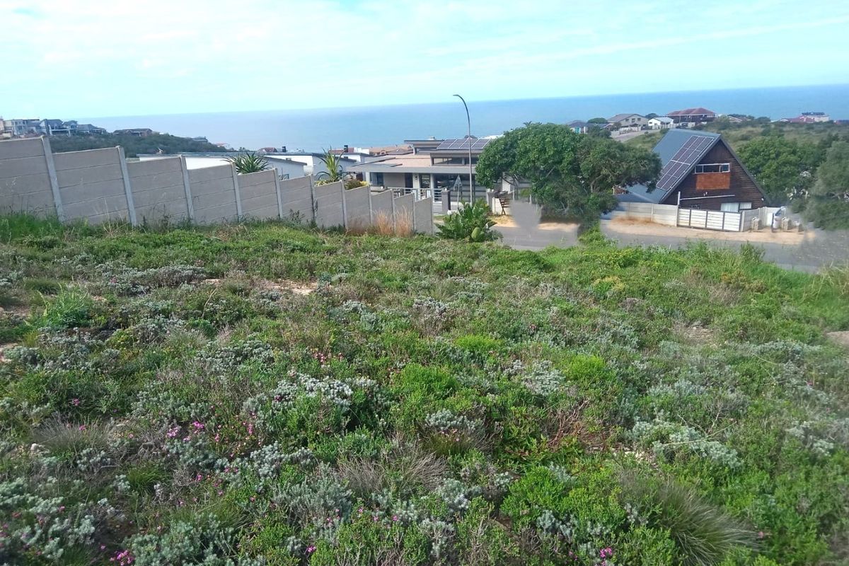 Elevated view of a vacant residential plot featuring natural coastal vegetation and a precast concrete boundary wall with ocean views in the background.