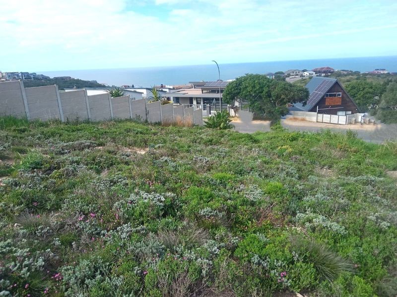 Elevated view of a vacant residential plot featuring natural coastal vegetation and a precast concrete boundary wall with ocean views in the background.