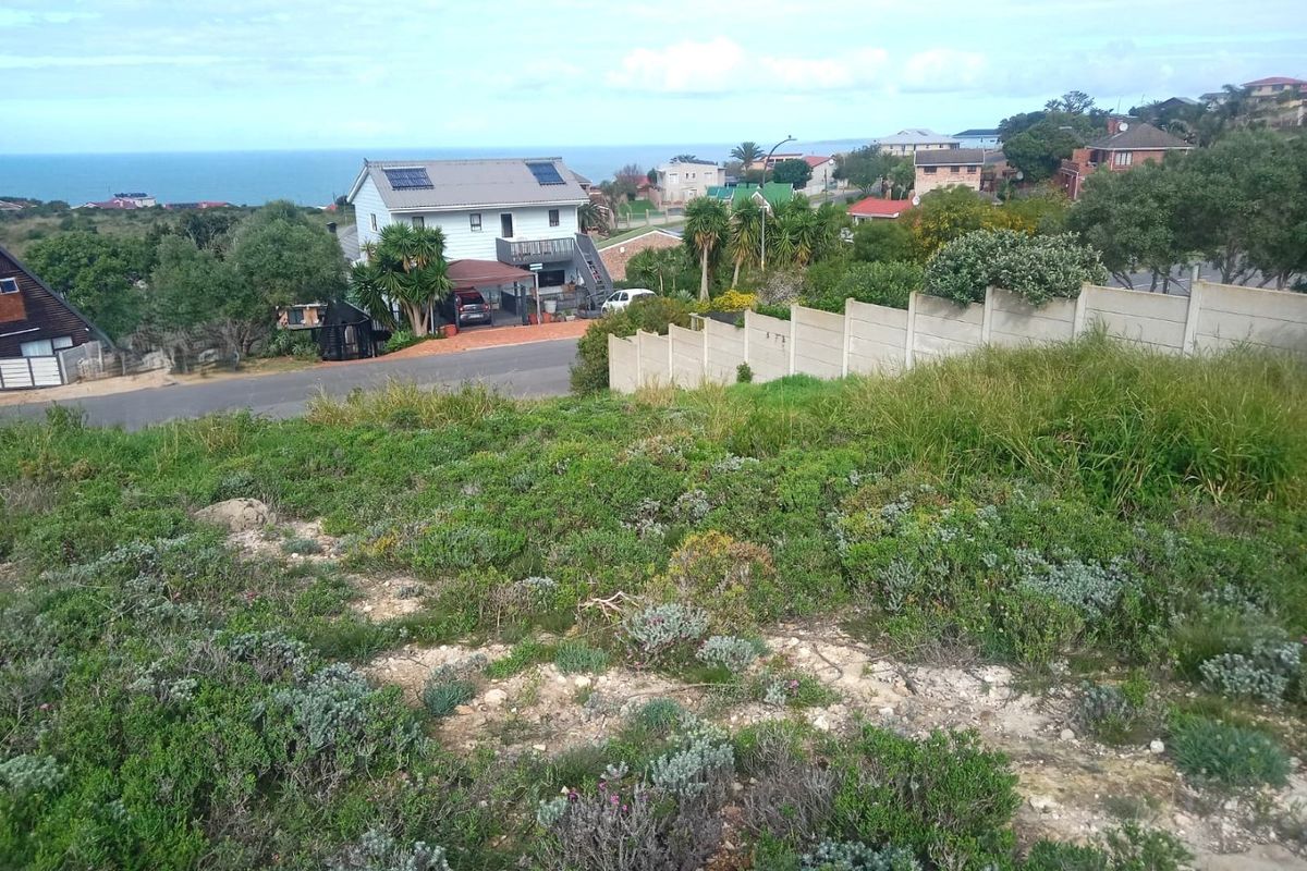 Elevated view overlooking a residential neighborhood with coastal scenery in the distance, featuring natural vegetation and a precast concrete boundary wall.