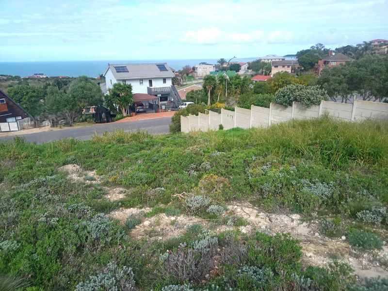 Elevated view overlooking a residential neighborhood with coastal scenery in the distance, featuring natural vegetation and a precast concrete boundary wall.