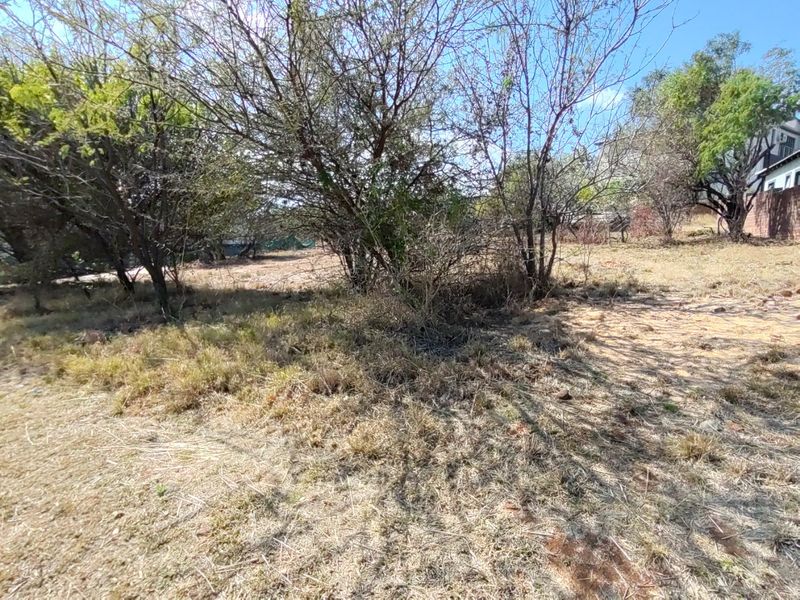 A view of the residential vacant land featuring mature trees and natural vegetation across the plot.
