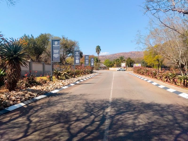 A well-maintained paved access road leading into the estate, featuring landscaped verges, painted kerbing, and branded signage.