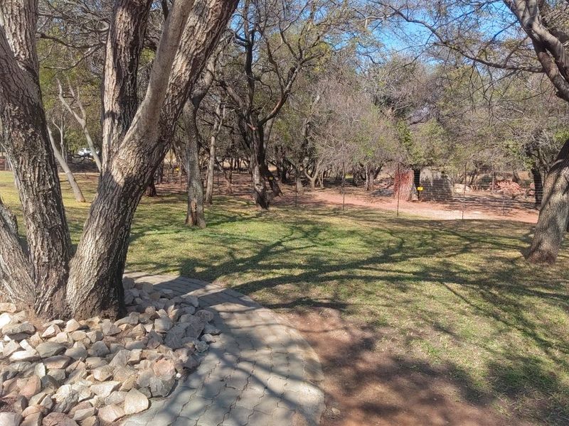 A spacious, well-maintained garden area featuring mature trees, a paved walkway, and perimeter wire fencing on a residential plot.