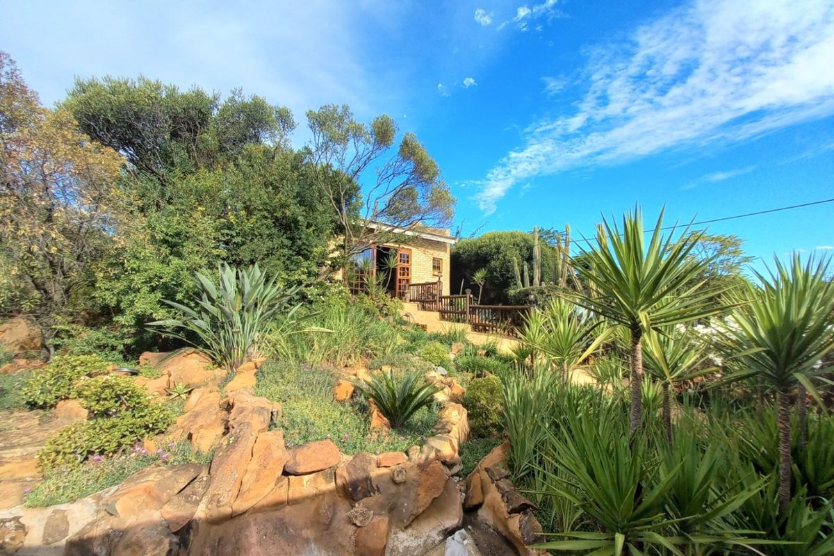 A view of the rear garden featuring a stone retaining wall, established landscaping, and a timber deck leading to the house entrance.