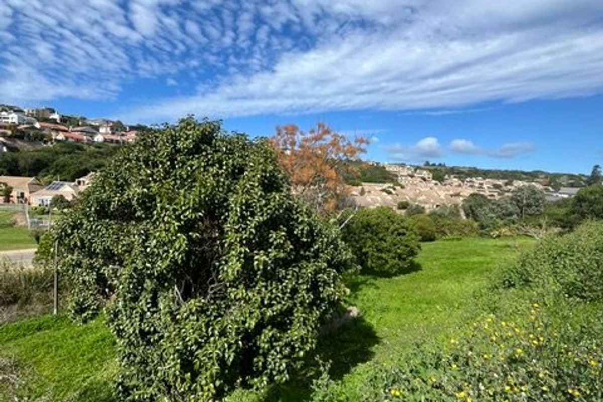 A scenic view of the surrounding landscape, featuring lush greenery, mature trees, and distant residential properties under a bright blue sky.