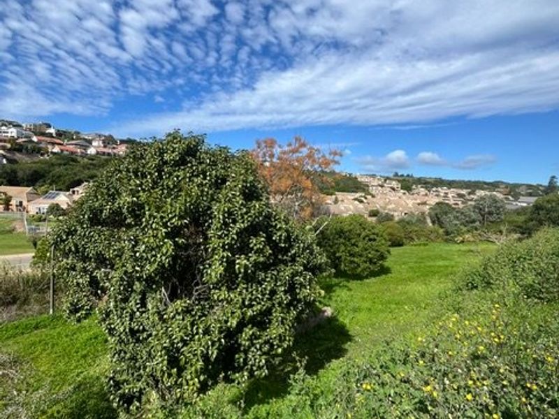 A scenic view of the surrounding landscape, featuring lush greenery, mature trees, and distant residential properties under a bright blue sky.