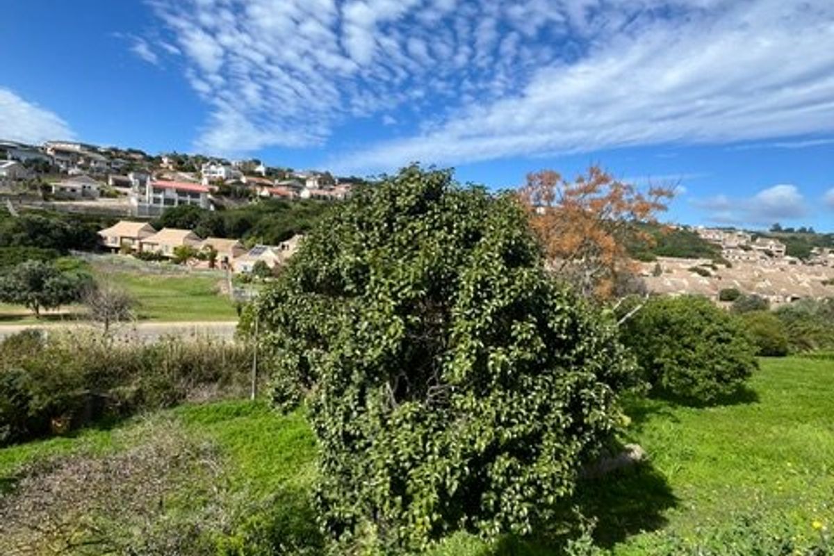 A scenic view of the surrounding neighborhood and landscape, featuring established greenery and a clear blue sky.