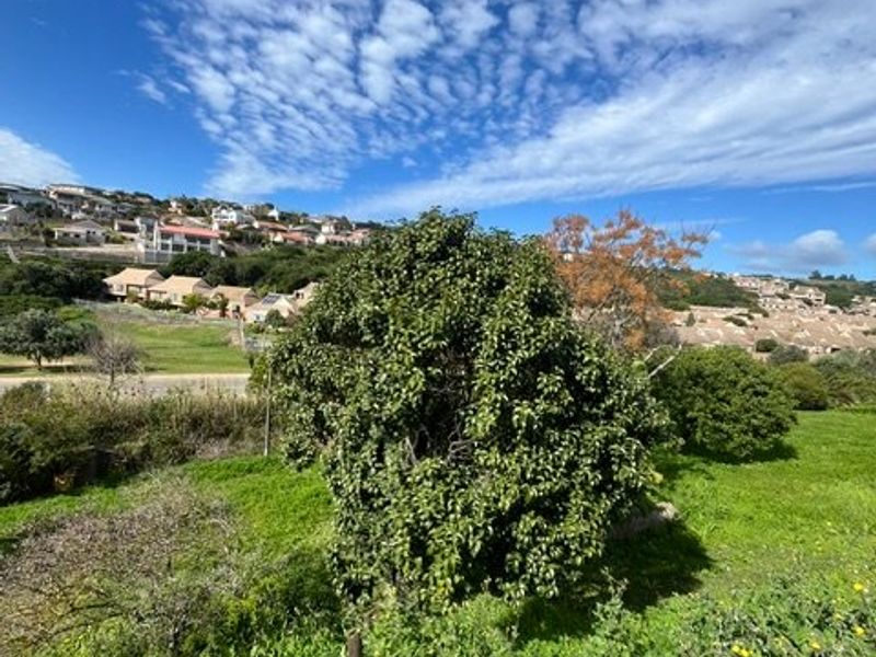 A scenic view of the surrounding neighborhood and landscape, featuring established greenery and a clear blue sky.