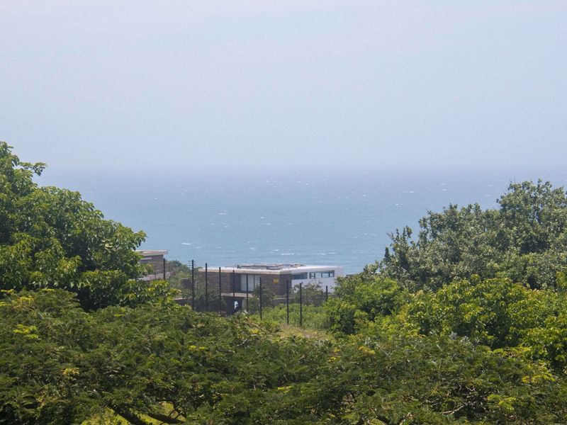 A scenic elevated view overlooking lush green trees with the ocean visible in the distance.