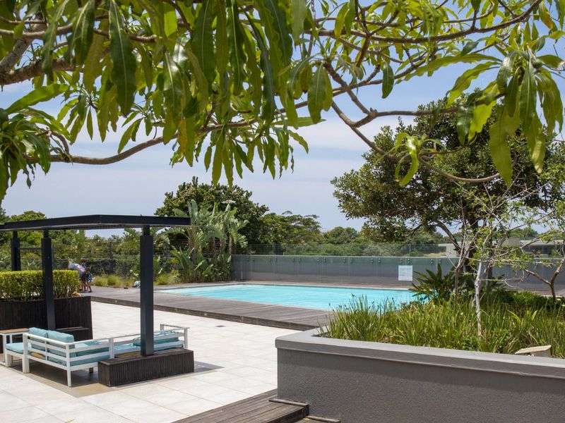 A well-maintained outdoor pool area featuring timber decking, a modern glass balustrade, a pergola, and established landscaped garden beds.