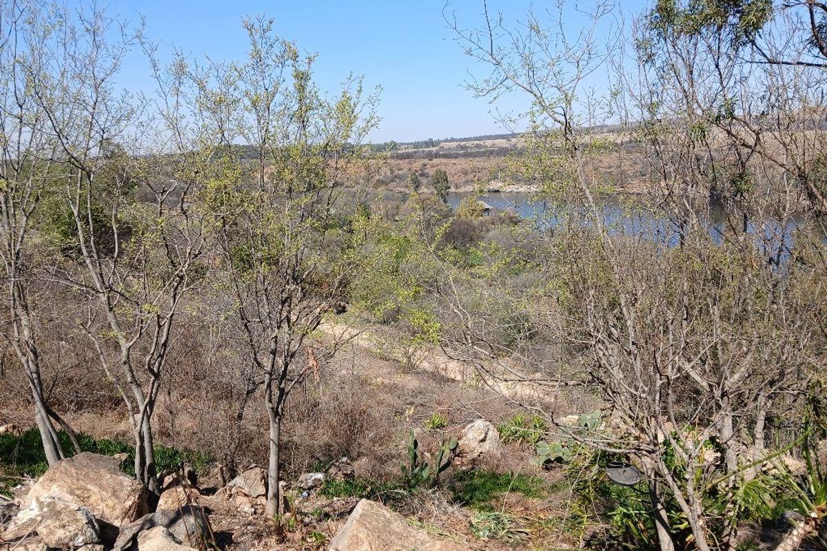 A scenic view overlooking a natural landscape with trees, rocky terrain, and a distant water body.