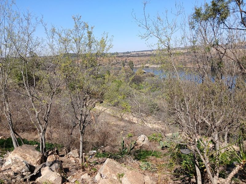 A scenic view overlooking a natural landscape with trees, rocky terrain, and a distant water body.