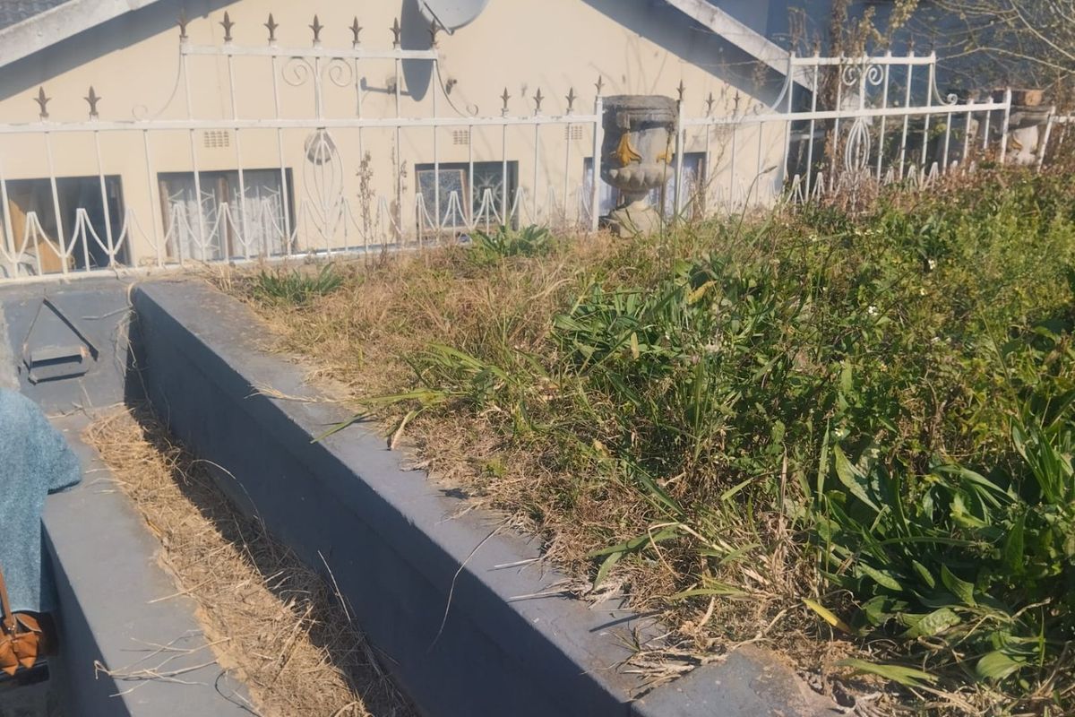 A rear exterior view showing a raised garden bed with overgrown vegetation, a retaining wall, and a white wrought iron fence.