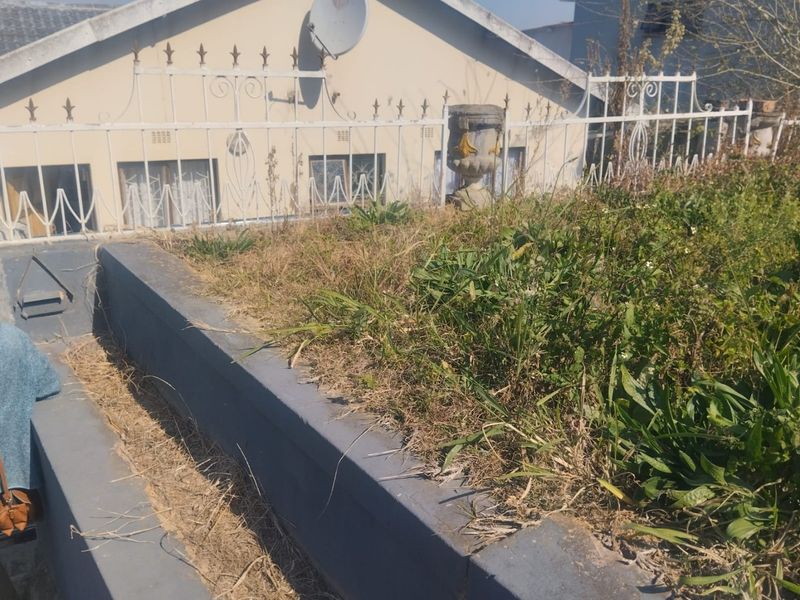 A rear exterior view showing a raised garden bed with overgrown vegetation, a retaining wall, and a white wrought iron fence.