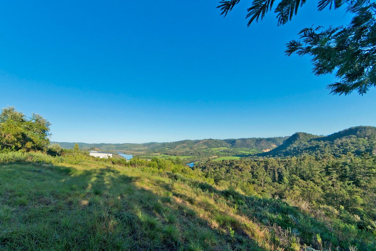 A scenic elevated view overlooking a lush valley with rolling hills, native vegetation, and a distant river landscape.