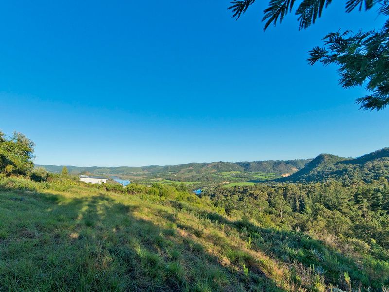 A scenic elevated view overlooking a lush valley with rolling hills, native vegetation, and a distant river landscape.