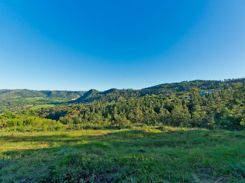 A scenic, elevated view overlooking a lush, green valley with rolling hills and dense forest landscape.