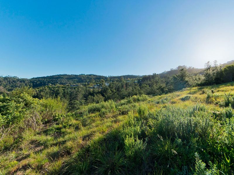 A scenic view of the natural landscape and surrounding hills, showcasing the vacant residential land's topography and vegetation.