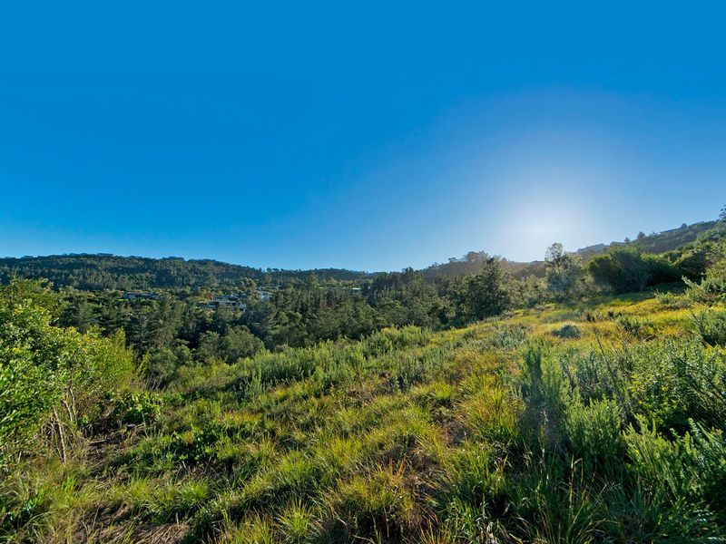 A scenic view of the natural landscape and surrounding hills, showcasing the property's elevated position and lush greenery.