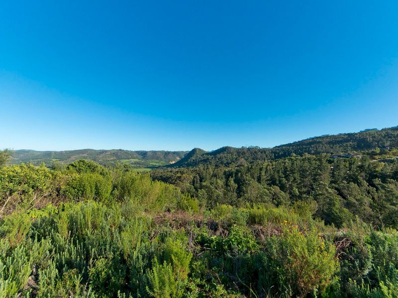 A scenic, elevated view overlooking a lush, forested valley and rolling hills under a clear blue sky.
