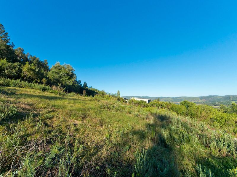 A wide-angle view of the sloped, undeveloped residential land featuring natural vegetation and expansive hillside scenery.