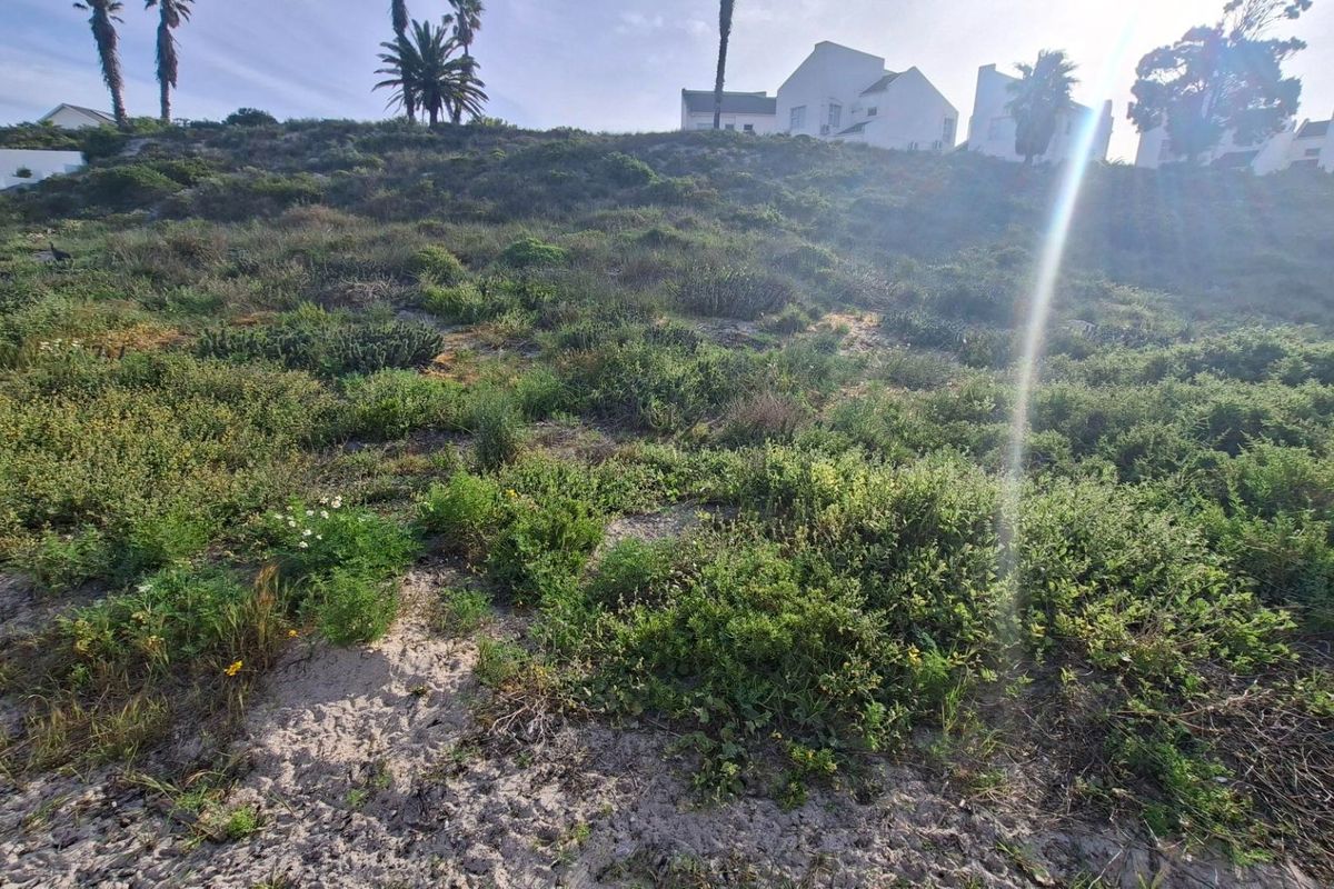 A view of a sloped, undeveloped residential plot featuring natural coastal vegetation and sandy soil, with neighboring properties visible at the top of the incline.
