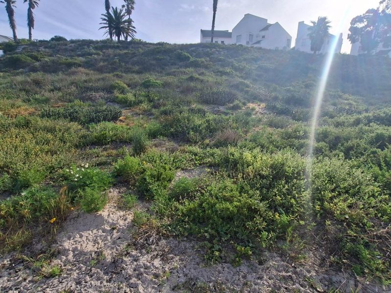 A view of a sloped, undeveloped residential plot featuring natural coastal vegetation and sandy soil, with neighboring properties visible at the top of the incline.