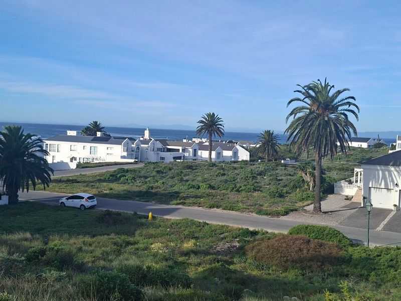 A scenic elevated view of a coastal residential estate featuring paved roads, mature palm trees, and distant ocean vistas.